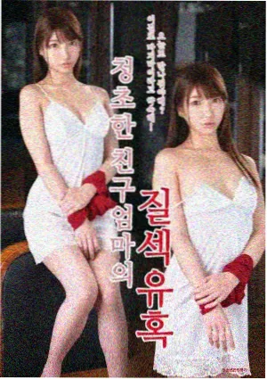 第七码头的信片单封面